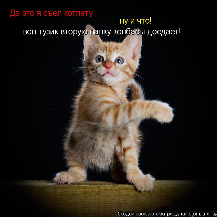 Да это я съел котлету ну и что! вон тузик вторую палку колбасы доедает!... Котоматрица: Да это я съел котлету ну и что! вон тузик вторую палку колбасы доедает!