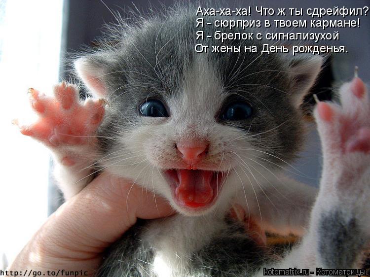 Аха-ха-ха! Что ж ты сдрейфил? Я - сюрприз в твоем кармане! Я - брелок с сигнализухой От жены на День ... Котоматрица: Аха-ха-ха! Что ж ты сдрейфил? Я - сюрприз в твоем кармане! Я - брелок с сигнализухой От жены на День рожденья.