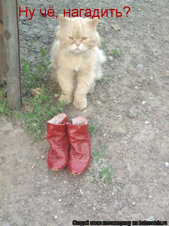 Ну чё, нагадить?... Котоматрица: Ну чё, нагадить?