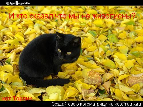 И кто сказал что мы не живописны? кот Торпик... Котоматрица: И кто сказал что мы не живописны? кот Торпик