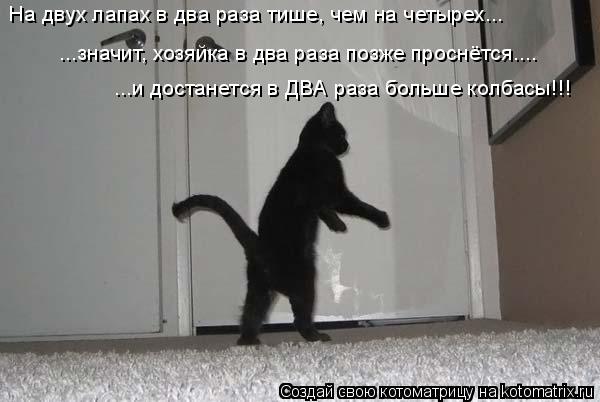 На двух лапах в два раза тише, чем на четырех... ...значит, хозяйка в два раза позже проснётся.... ..... Котоматрица: На двух лапах в два раза тише, чем на четырех... ...значит, хозяйка в два раза позже проснётся.... ...и достанется в ДВА раза больше колбасы!!!