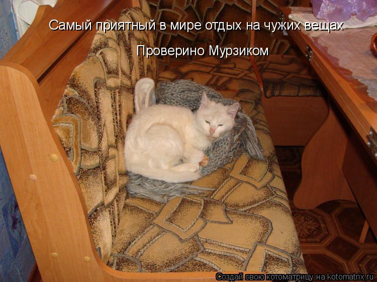 Самый приятный в мире отдых на чужих вещах Проверино Мурзиком... Котоматрица: Самый приятный в мире отдых на чужих вещах Проверино Мурзиком