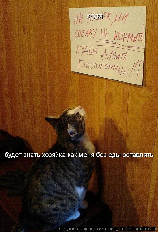 хозя будет знать хозяйка как меня без еды оставлять... Котоматрица: хозя будет знать хозяйка как меня без еды оставлять