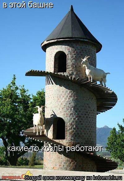 в этой башне какие-то козлы работают... Котоматрица: в этой башне какие-то козлы работают
