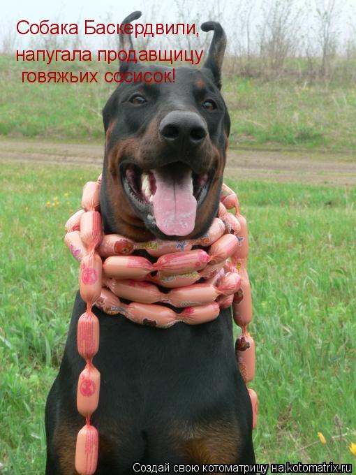 Собака Баскердвили, напугала продавщицу говяжьих сосисок!... Котоматрица: Собака Баскердвили, напугала продавщицу говяжьих сосисок!