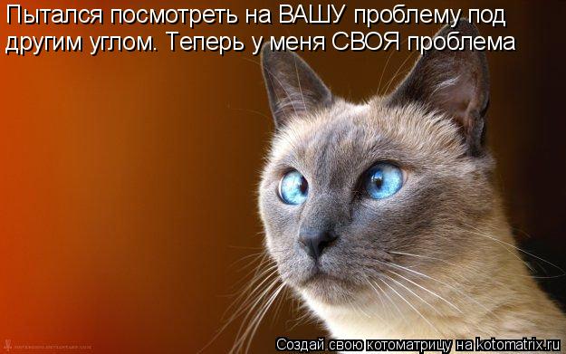 Пытался посмотреть на ВАШУ проблему под другим углом. Теперь у меня СВОЯ проблема... Котоматрица: Пытался посмотреть на ВАШУ проблему под другим углом. Теперь у меня СВОЯ проблема