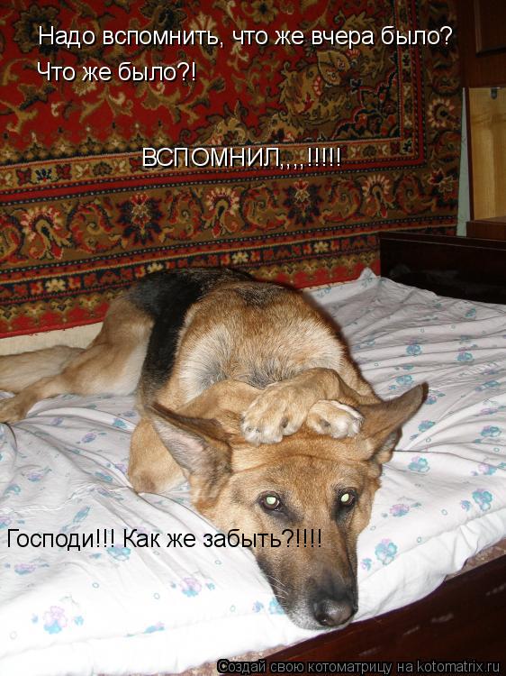 Что же было?! Надо вспомнить, что же вчера было? ВСПОМНИЛ,,,,!!!!! Господи!!! Как же забыть?!!!!... Котоматрица: Что же было?! Надо вспомнить, что же вчера было? ВСПОМНИЛ,,,,!!!!! Господи!!! Как же забыть?!!!!
