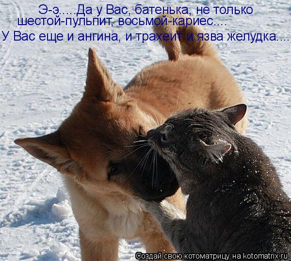 Э-э.....Да у Вас, батенька, не только шестой-пульпит, восьмой-кариес.... У Вас еще и ангина, и трахе... Котоматрица: Э-э.....Да у Вас, батенька, не только шестой-пульпит, восьмой-кариес.... У Вас еще и ангина, и трахеит и язва желудка.....