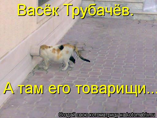 Васёк Трубачёв. А там его товарищи...... Котоматрица: Васёк Трубачёв. А там его товарищи...