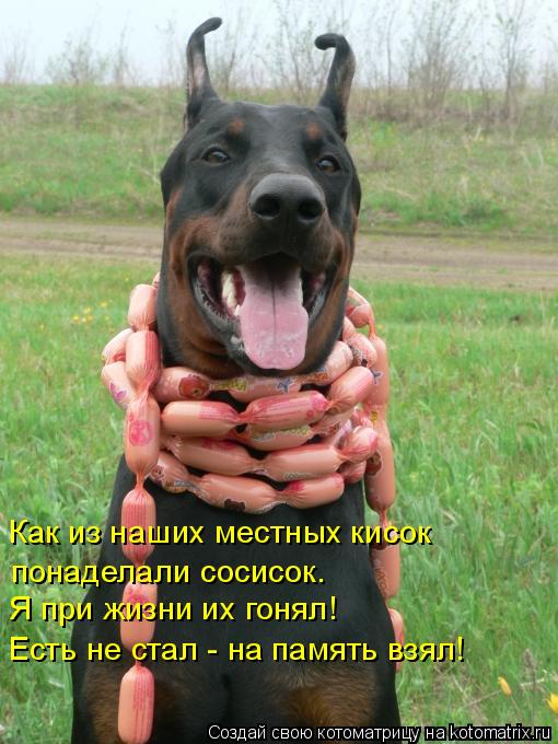 Как из наших местных кисок понаделали сосисок. Есть не стал - на память взял! Я при жизни их гон... Котоматрица: Как из наших местных кисок понаделали сосисок. Есть не стал - на память взял! Я при жизни их гонял!