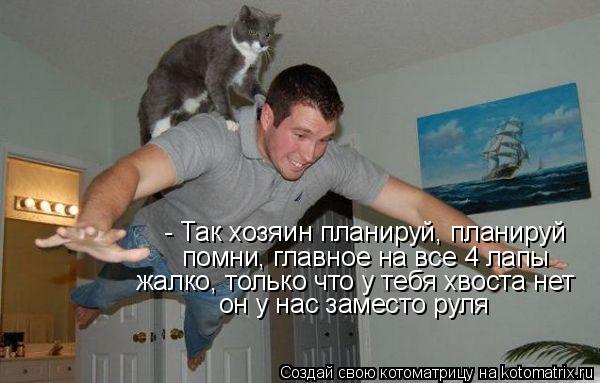 - Так хозяин планируй, планируй помни, главное на все 4 лапы жалко, только что у тебя хвоста нет он... Котоматрица: - Так хозяин планируй, планируй помни, главное на все 4 лапы жалко, только что у тебя хвоста нет он у нас заместо руля