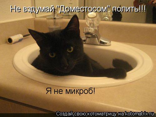 Не вздумай "Доместосом" полить!!! Я не микроб!... Котоматрица: Не вздумай "Доместосом" полить!!! Я не микроб!
