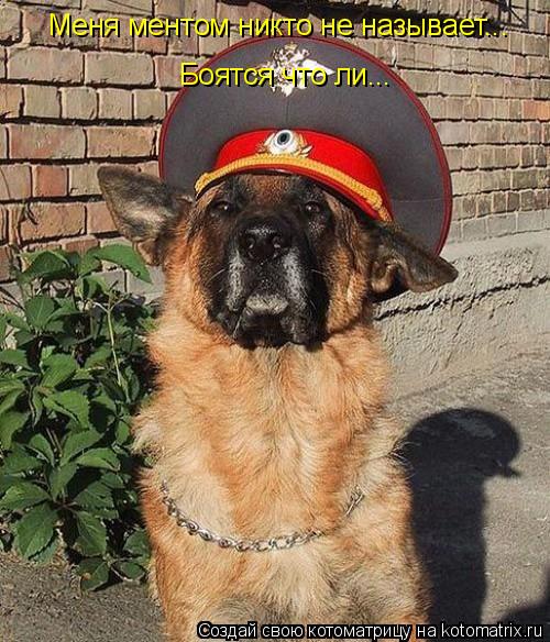 Меня ментом никто не называет... Боятся что ли...... Котоматрица: Меня ментом никто не называет... Боятся что ли...