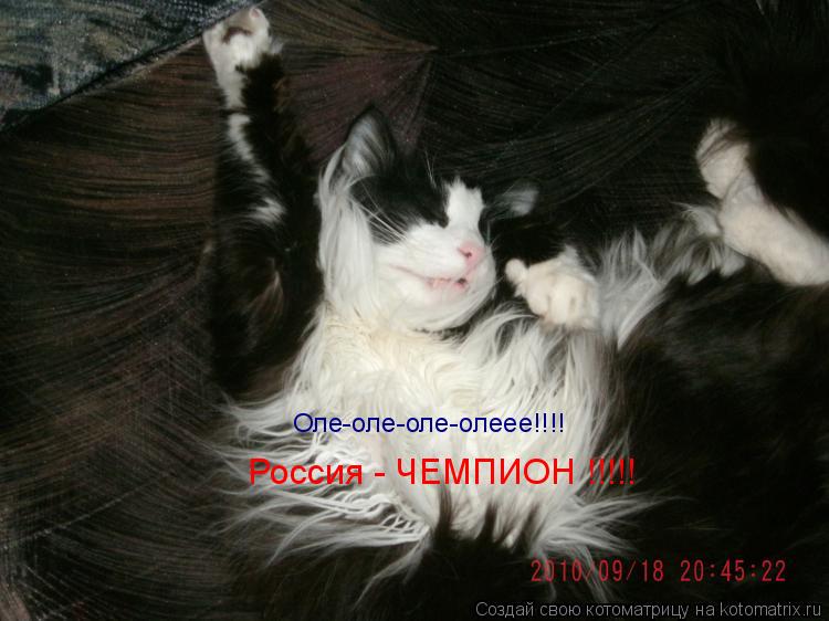 Оле-оле-оле-олеее!!!! Россия - ЧЕМПИОН !!!!!... Котоматрица: Оле-оле-оле-олеее!!!! Россия - ЧЕМПИОН !!!!!
