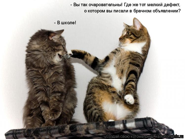 - Вы так очаровательны! Где же тот мелкий дефект, о котором вы писали в брачном объявлении? - В школ... Котоматрица: - Вы так очаровательны! Где же тот мелкий дефект, о котором вы писали в брачном объявлении? - В школе!