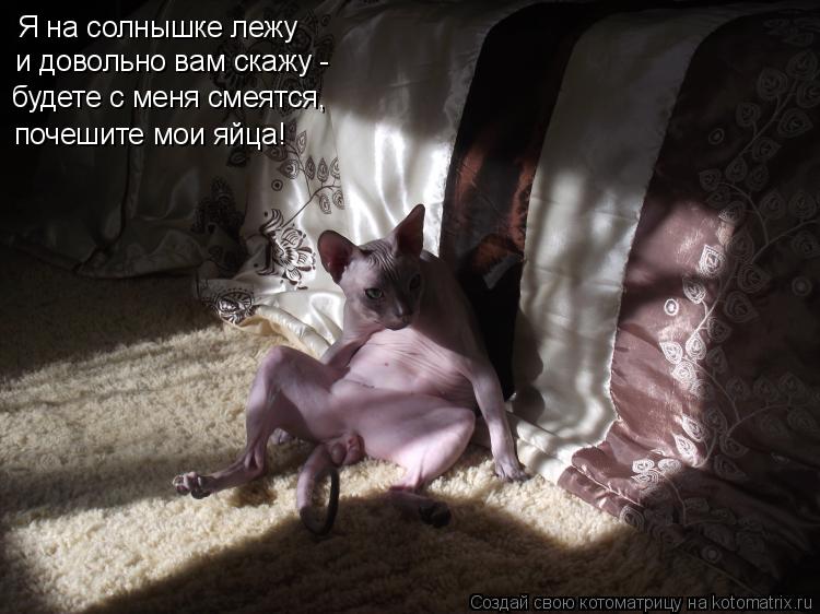 Я на солнышке лежу почешите мои яйца! будете с меня смеятся, и довольно вам скажу -... Котоматрица: Я на солнышке лежу почешите мои яйца! будете с меня смеятся, и довольно вам скажу -