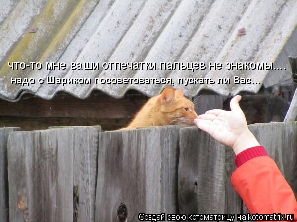что-то мне ваши отпечатки пальцев не знакомы.... надо с Шариком посоветоваться, пускать ли Вас...... Котоматрица: что-то мне ваши отпечатки пальцев не знакомы.... надо с Шариком посоветоваться, пускать ли Вас...