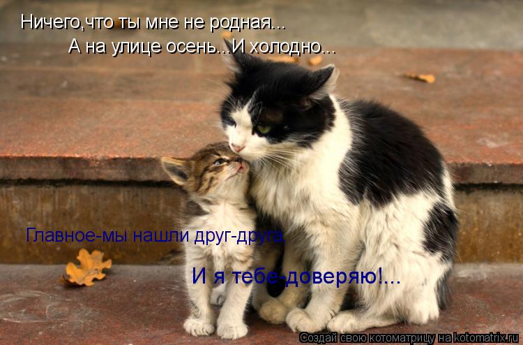 Ничего,что ты мне не родная... А на улице осень...И холодно... Главное-мы нашли друг-друга, И я тебе-... Котоматрица: Ничего,что ты мне не родная... А на улице осень...И холодно... Главное-мы нашли друг-друга, И я тебе-доверяю!...
