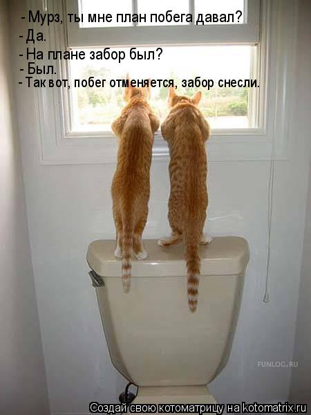 - Мурз, ты мне план побега давал? - Да. - На плане забор был? - Был. - Так вот, побег отменяется, заб... Котоматрица: - Мурз, ты мне план побега давал? - Да. - На плане забор был? - Был. - Так вот, побег отменяется, забор снесли.