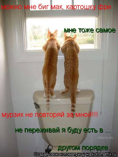 можно мне биг мак, картошку фри мне тоже самое мурзик не повторяй за мной!!! не переживай я буду есть... Котоматрица: можно мне биг мак, картошку фри мне тоже самое мурзик не повторяй за мной!!! не переживай я буду есть в ... другом порядке