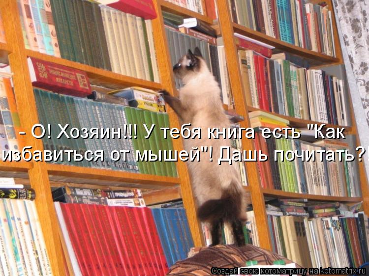 - О! Хозяин!!! У тебя книга есть "Как избавиться от мышей"! Дашь почитать?!... Котоматрица: - О! Хозяин!!! У тебя книга есть "Как избавиться от мышей"! Дашь почитать?!