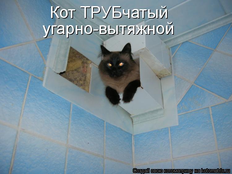 Кот ТРУБчатый угарно-вытяжной... Котоматрица: Кот ТРУБчатый угарно-вытяжной
