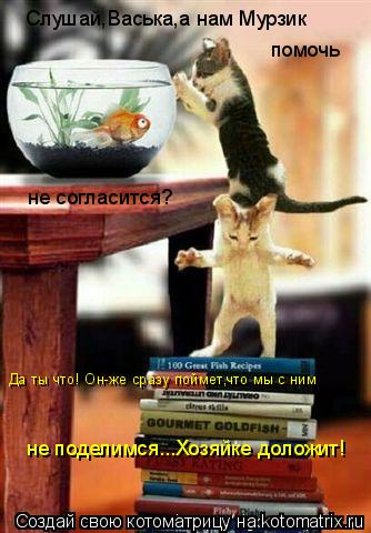 Слушай,Васька,а нам Мурзик помочь не согласится? Да ты что! Он-же сразу поймет,что мы с ним не поде... Котоматрица: Слушай,Васька,а нам Мурзик помочь не согласится? Да ты что! Он-же сразу поймет,что мы с ним не поделимся...Хозяйке доложит!
