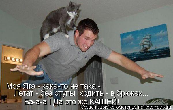 Моя Яга - кака-то не така - Летат - без ступы, ходить - в брюках... Ба-а-а ! Да это же КАЩЕЙ!... Котоматрица: Моя Яга - кака-то не така - Летат - без ступы, ходить - в брюках... Ба-а-а ! Да это же КАЩЕЙ!