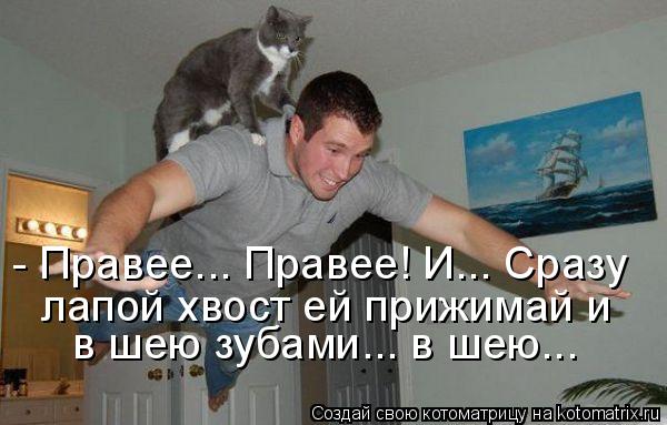 - Правее... Правее! И... Сразу лапой хвост ей прижимай и в шею зубами... в шею...... Котоматрица: - Правее... Правее! И... Сразу лапой хвост ей прижимай и в шею зубами... в шею...