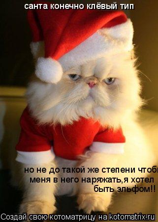 санта конечно клёвый тип но не до такой же степени чтобы меня в него наряжать,я хотел быть эльфом!!... Котоматрица: санта конечно клёвый тип но не до такой же степени чтобы меня в него наряжать,я хотел быть эльфом!!