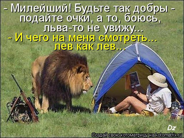 - Милейший! Будьте так добры - подайте очки, а то, боюсь, льва-то не увижу... - И чего на меня смотр... Котоматрица: - Милейший! Будьте так добры - подайте очки, а то, боюсь, льва-то не увижу... - И чего на меня смотреть... лев как лев...