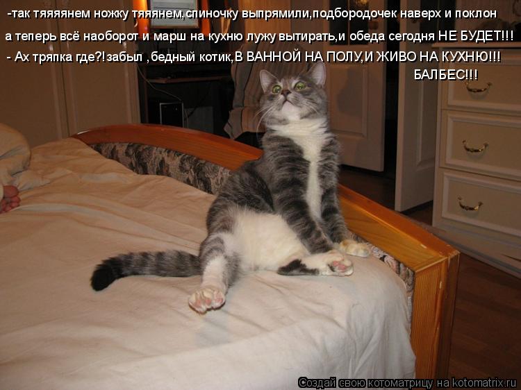-так тяяяянем ножку тяяянем,спиночку выпрямили,подбородочек наверх и поклон а теперь всё наоборот и м... Котоматрица: -так тяяяянем ножку тяяянем,спиночку выпрямили,подбородочек наверх и поклон а теперь всё наоборот и марш на кухню лужу вытирать,и обеда сег