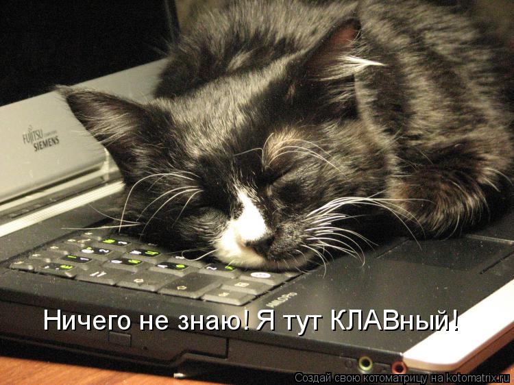 Ничего не знаю! Я тут КЛАВный!... Котоматрица: Ничего не знаю! Я тут КЛАВный!
