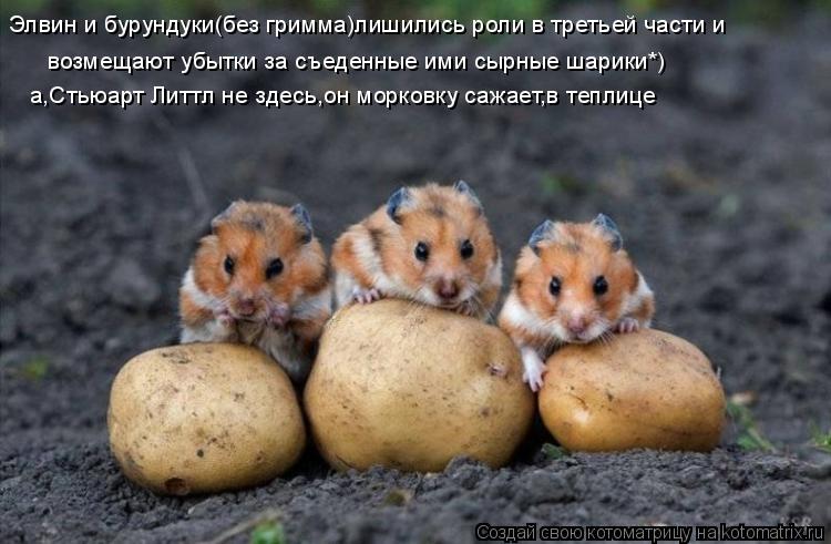 Элвин и бурундуки(без гримма)лишились роли в третьей части и возмещают убытки за съеденные ими сырны... Котоматрица: Элвин и бурундуки(без гримма)лишились роли в третьей части и возмещают убытки за съеденные ими сырные шарики*) а,Стьюарт Литтл не здесь,он м