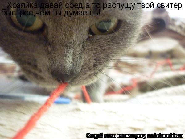 --Хозяйка,давай обед,а то распущу твой свитер быстрее,чем ты думаешь!... Котоматрица: --Хозяйка,давай обед,а то распущу твой свитер быстрее,чем ты думаешь!