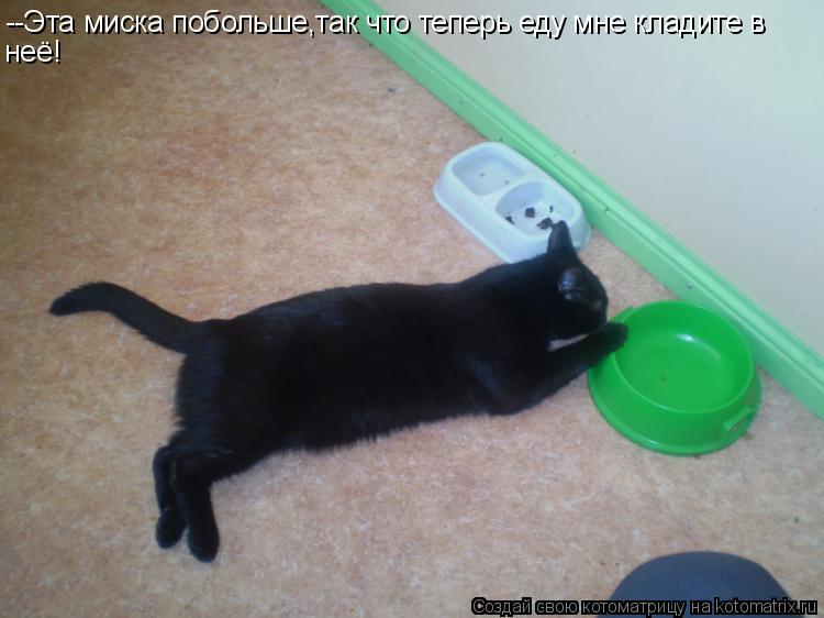 --Эта миска побольше,так что теперь еду мне кладите в неё!... Котоматрица: --Эта миска побольше,так что теперь еду мне кладите в неё!