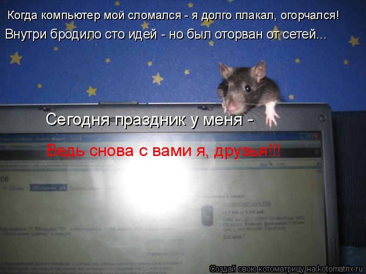 Когда компьютер мой сломался - я долго плакал, огорчался! Внутри бродило сто идей - но был оторван от... Котоматрица: Когда компьютер мой сломался - я долго плакал, огорчался! Внутри бродило сто идей - но был оторван от сетей... Сегодня праздник у меня - Ведь с