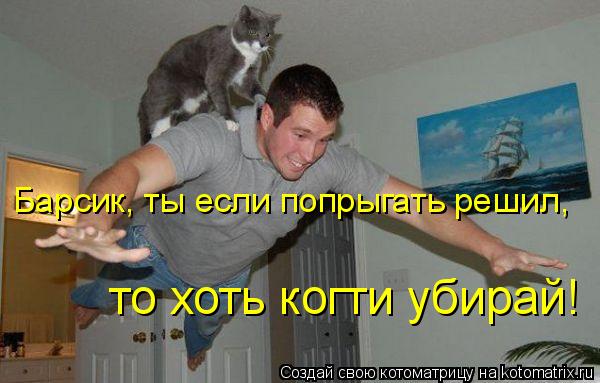 Барсик, ты если попрыгать решил, то хоть когти убирай!... Котоматрица: Барсик, ты если попрыгать решил, то хоть когти убирай!