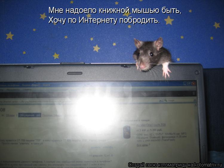 Мне надоело книжной мышью быть, Хочу по Интернету побродить.... Котоматрица: Мне надоело книжной мышью быть, Хочу по Интернету побродить.