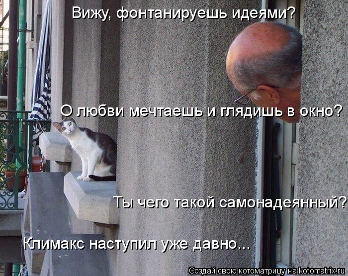 Вижу, фонтанируешь идеями? О любви мечтаешь и глядишь в окно? Ты чего такой самонадеянный? Климакс... Котоматрица: Вижу, фонтанируешь идеями? О любви мечтаешь и глядишь в окно? Ты чего такой самонадеянный? Климакс наступил уже давно...