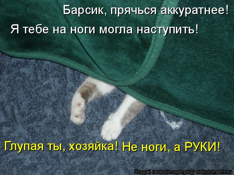 Барсик, прячься аккуратнее! Я тебе на ноги могла наступить! Глупая ты, хозяйка! Не ноги, а РУКИ!... Котоматрица: Барсик, прячься аккуратнее! Я тебе на ноги могла наступить! Глупая ты, хозяйка! Не ноги, а РУКИ!