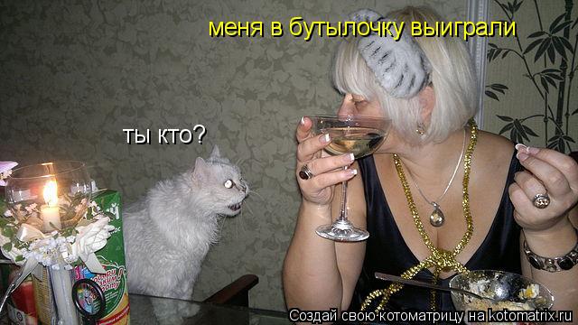 ты кто? меня в бутылочку выиграли... Котоматрица: ты кто? меня в бутылочку выиграли