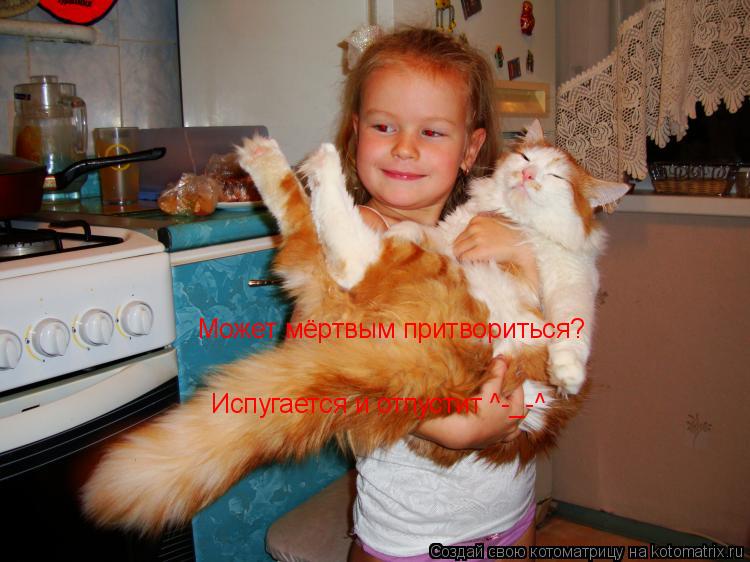 Может мёртвым притвориться? Испугается и отпустит ^-_-^... Котоматрица: Может мёртвым притвориться? Испугается и отпустит ^-_-^