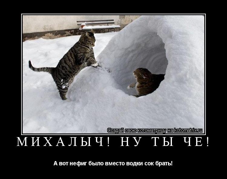 Михалыч! Ну ты чё! А вот нефиг было вместо водки сок брать!... Котоматрица: Михалыч! Ну ты чё! А вот нефиг было вместо водки сок брать!