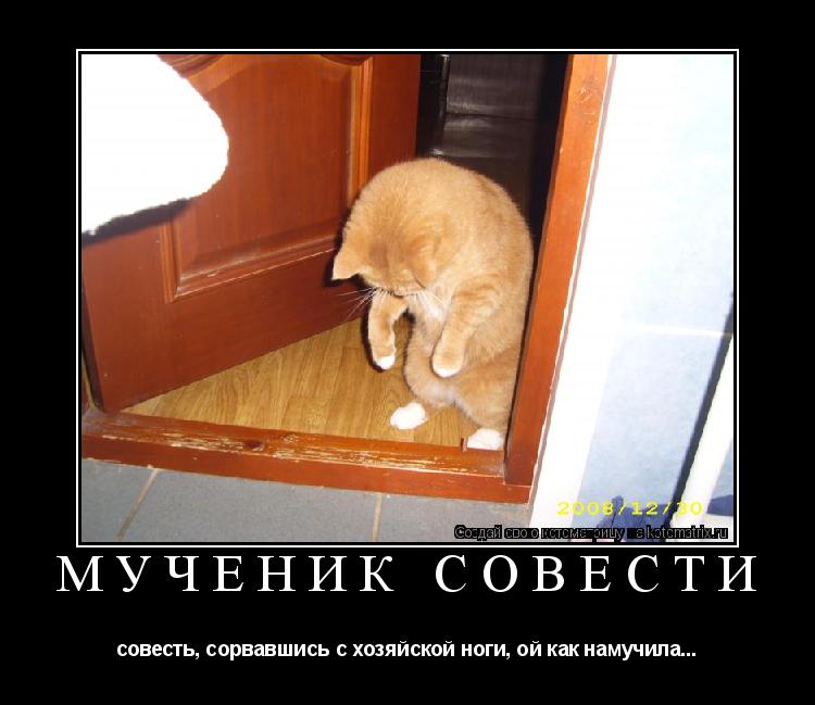 Мученик совести совесть, сорвавшись с хозяйской ноги, ой как намучила...... Котоматрица: Мученик совести совесть, сорвавшись с хозяйской ноги, ой как намучила...