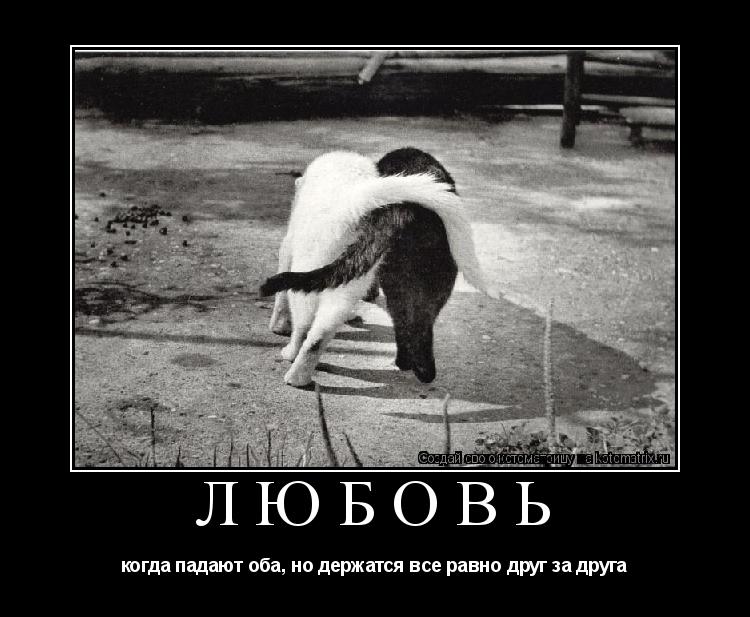 Любовь когда падают оба, но держатся все равно друг за друга... Котоматрица: Любовь когда падают оба, но держатся все равно друг за друга