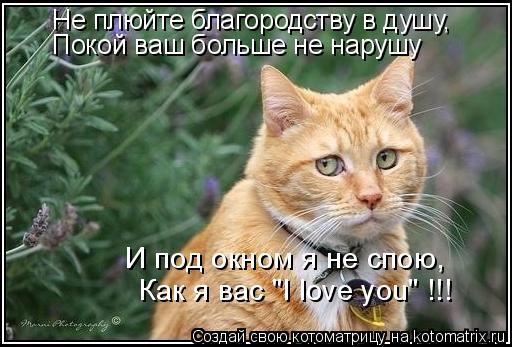 Не плюйте благородству в душу, Покой ваш больше не нарушу И под окном я не спою, Как я вас "I love yo... Котоматрица: Не плюйте благородству в душу, Покой ваш больше не нарушу И под окном я не спою, Как я вас "I love you" !!!