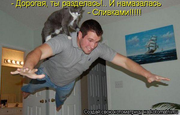 - Дорогая, ты разделась!.. И намазалась - Сливками!!!!!... Котоматрица: - Дорогая, ты разделась!.. И намазалась - Сливками!!!!!