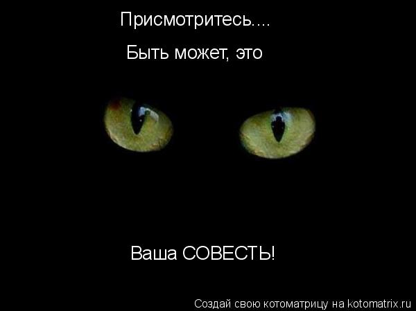 Присмотритесь.... Быть может, это Ваша СОВЕСТЬ!... Котоматрица: Присмотритесь.... Быть может, это Ваша СОВЕСТЬ!