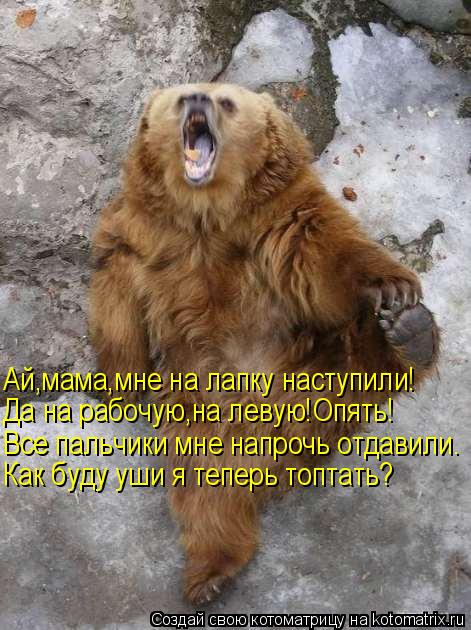 Ай,мама,мне на лапку наступили! Да на рабочую,на левую!Опять! Все пальчики мне напрочь отдавили. Как ... Котоматрица: Ай,мама,мне на лапку наступили! Да на рабочую,на левую!Опять! Все пальчики мне напрочь отдавили. Как буду уши я теперь топтать?